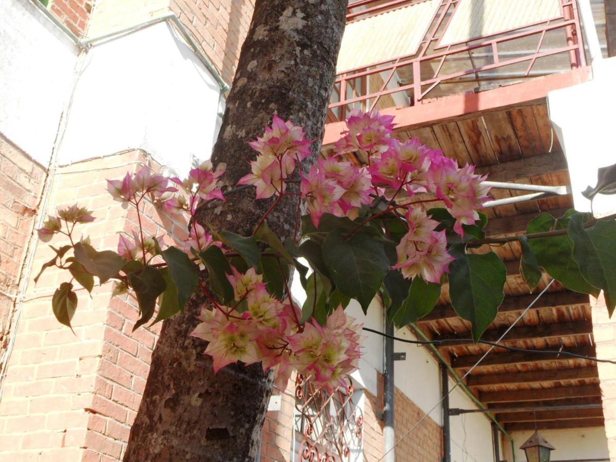 Three Palms Fianar Ξενοδοχείο Φιαναραντσόα Εξωτερικό φωτογραφία